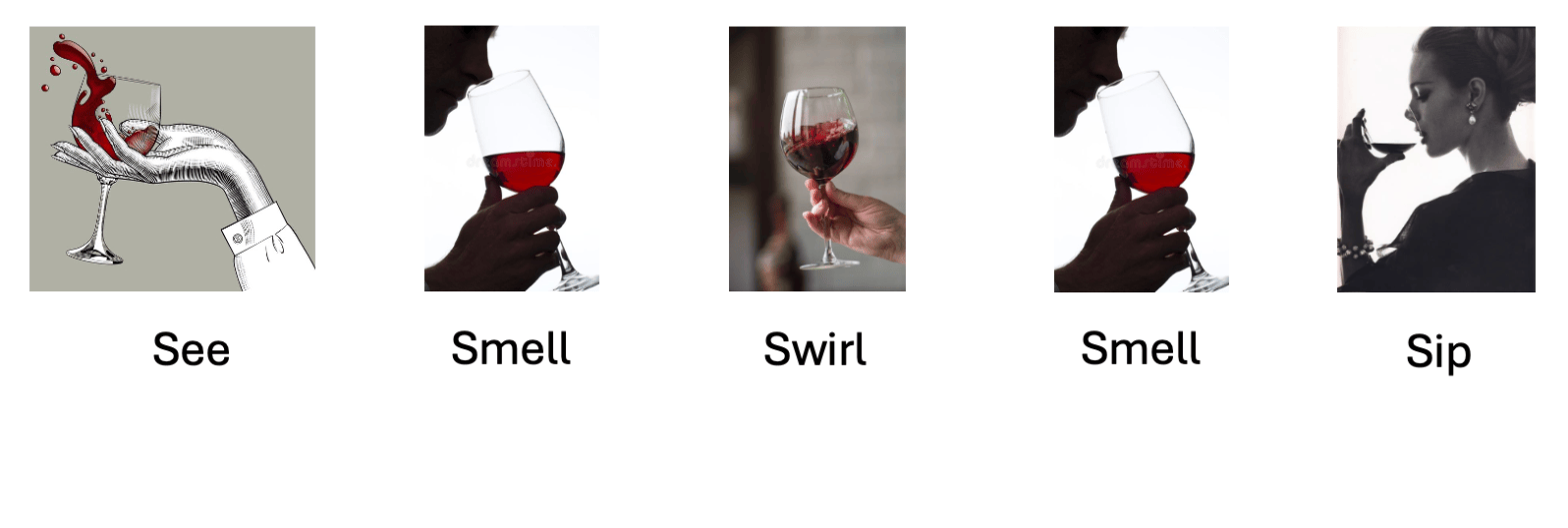 Wine tasting steps